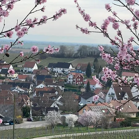 Apartmán Fewoschwedenhaus *