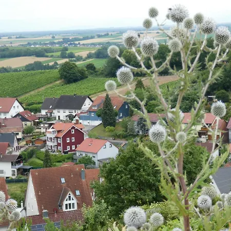 Fewoschwedenhaus * Gleiszellen-Gleishorbach