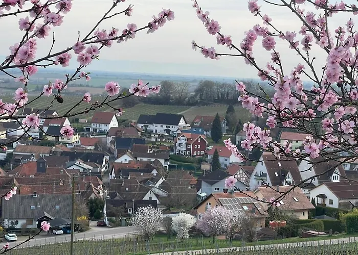 Apartman Fewoschwedenhaus *