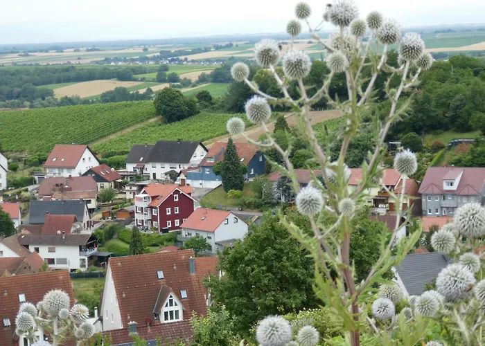 Fewoschwedenhaus * Gleiszellen-Gleishorbach